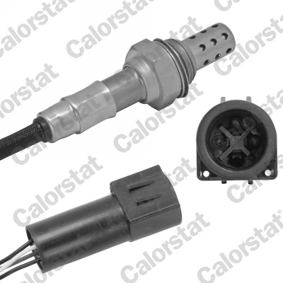 Oxygen Sensor
